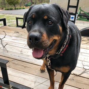 Meet your Posher, Teresa